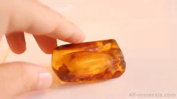 Natural Baltic amber with inclusion, insect 33 grams.