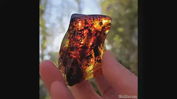 2.4" Baltic Amber Carved Crystal Double Skulls, Crystal Healing
