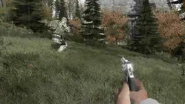 ARMA X: Anniversary Edition (Steam Gift /Reg Free)+DayZ