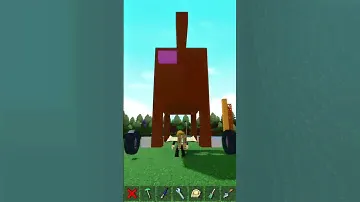 How to build the dog