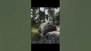 Arma Reforger with a hat on.
