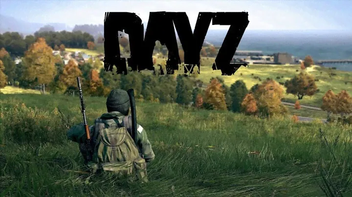 Как поиграть в Arma 2OA Dayz mod SP(одиночная игра) в 2024?