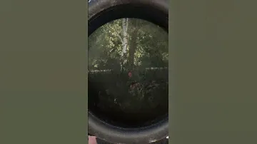 U.S Forces Search For Insurgents In Vietnam | Arma Reforger