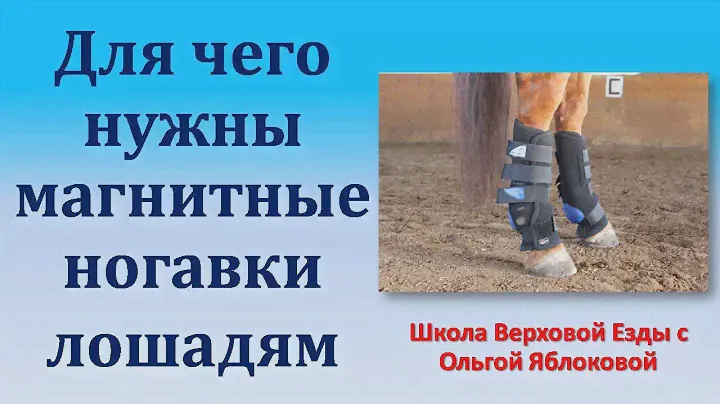 ДЛЯ ЧЕГО НУЖНЫ МАГНИТНЫЕ НОГАВКИ ЛОШАДЯМ