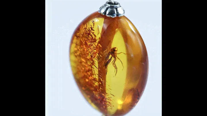 Baltic amber bead earring's with inclusion
